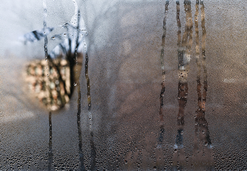 Foggy Glass Installation